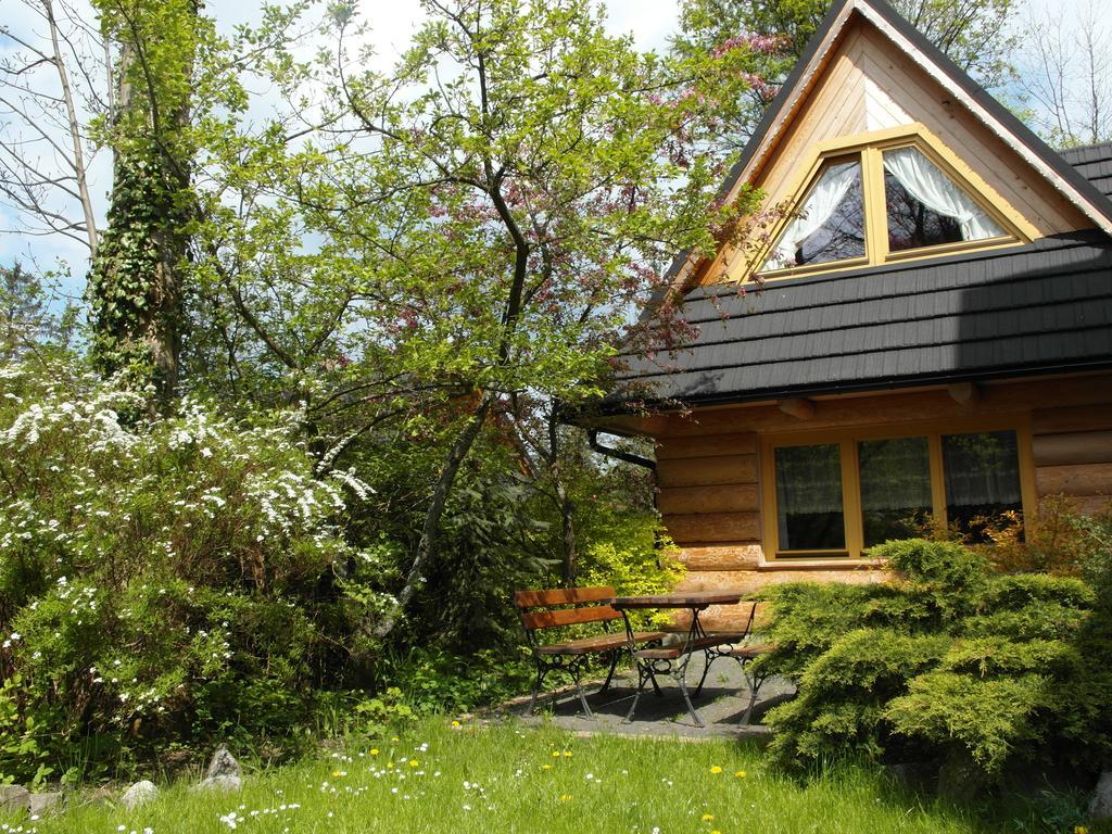 Regionalny Domek Pod Skocznia Закопане Экстерьер фото