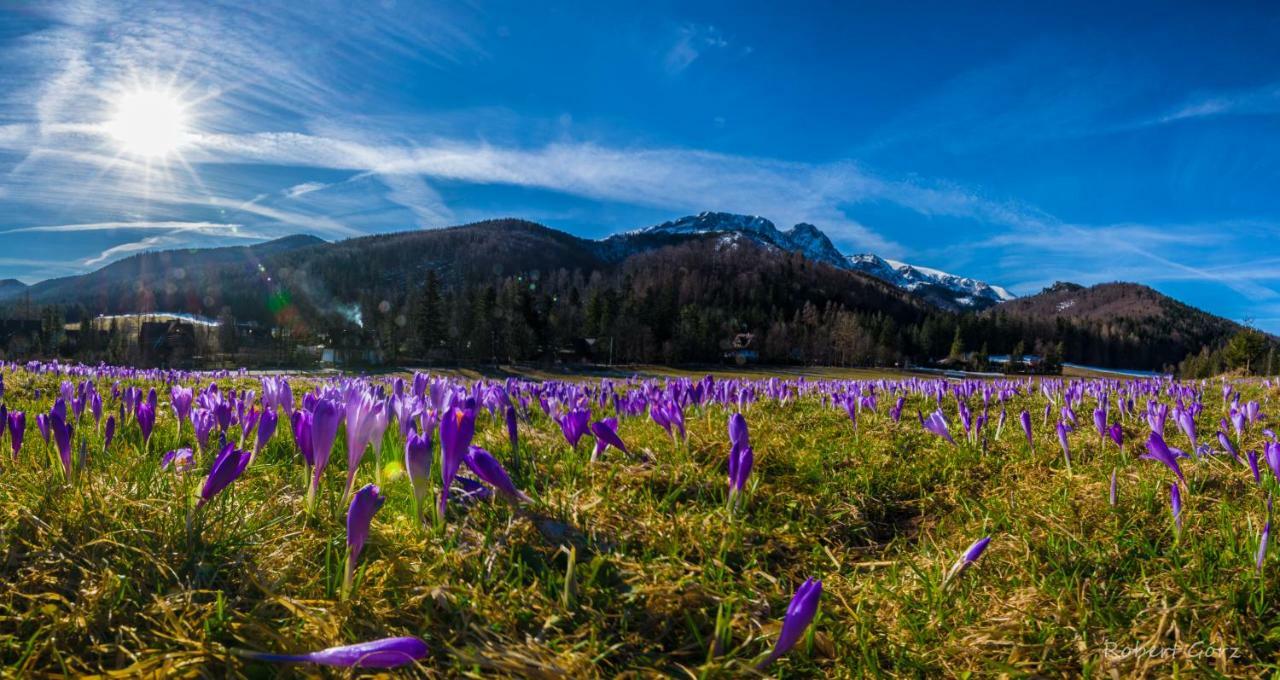 Regionalny Domek Pod Skocznia Закопане Экстерьер фото